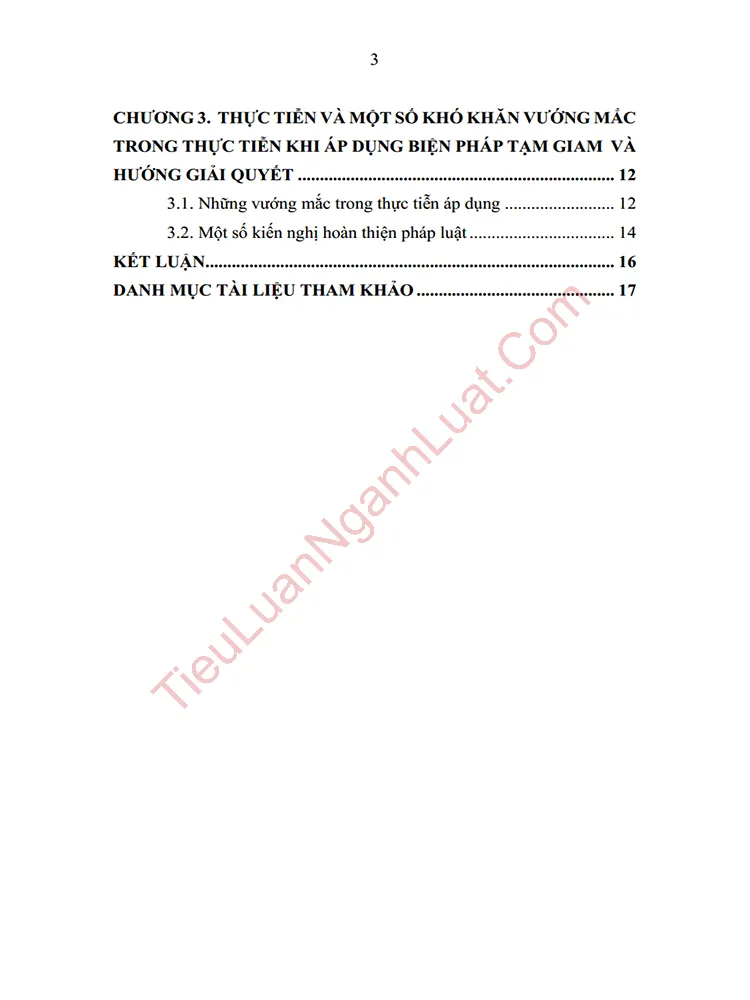 b0175 tieu luan phan tich quy dinh ve viec ap dung bien phap tam giam anh muc luc 02