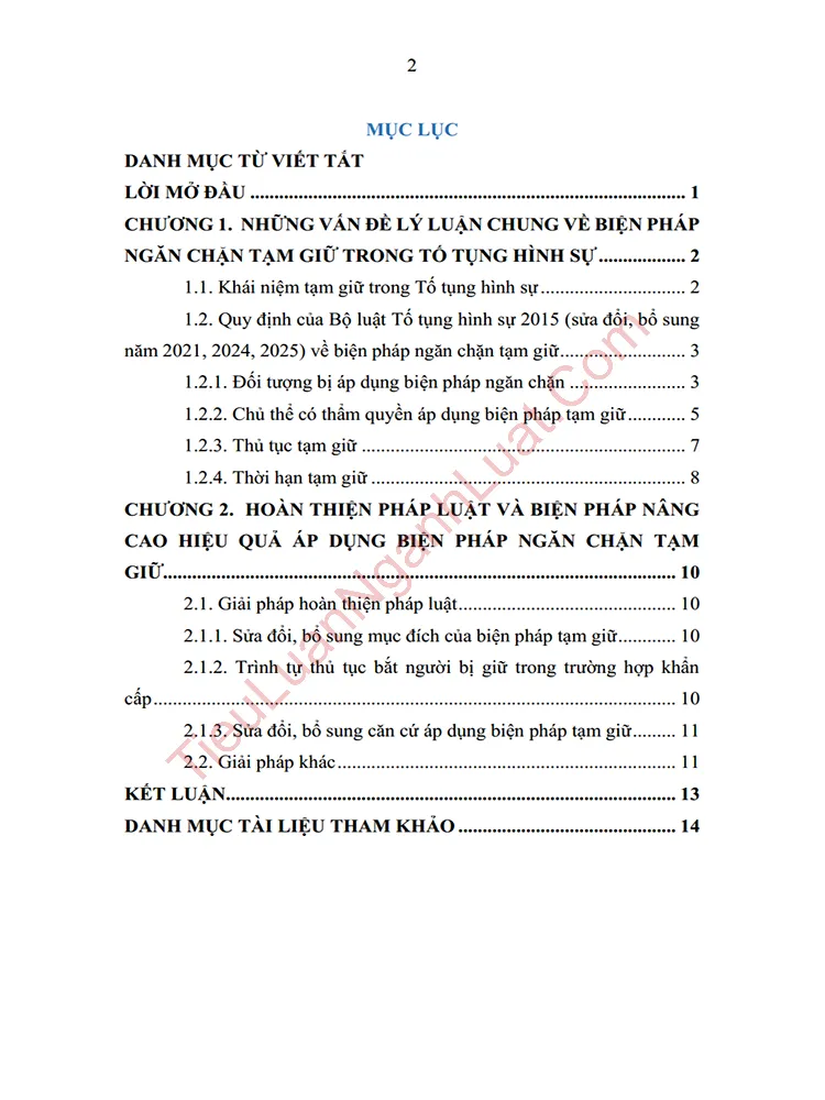 b0418 tieu luan bien phap tam giu trong bo luat to tung hinh su nam 2015 anh muc luc 01