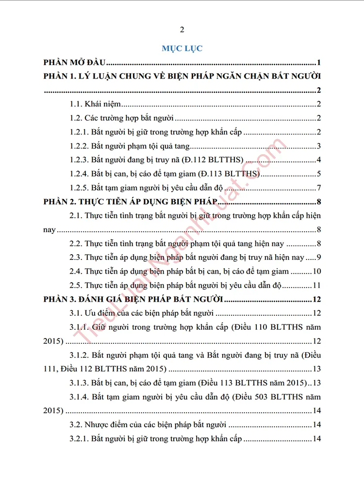 b0918 tieu luan bien phap ngan chan bat nguoi thuc trang va giai phap hoan thien anh muc luc 01