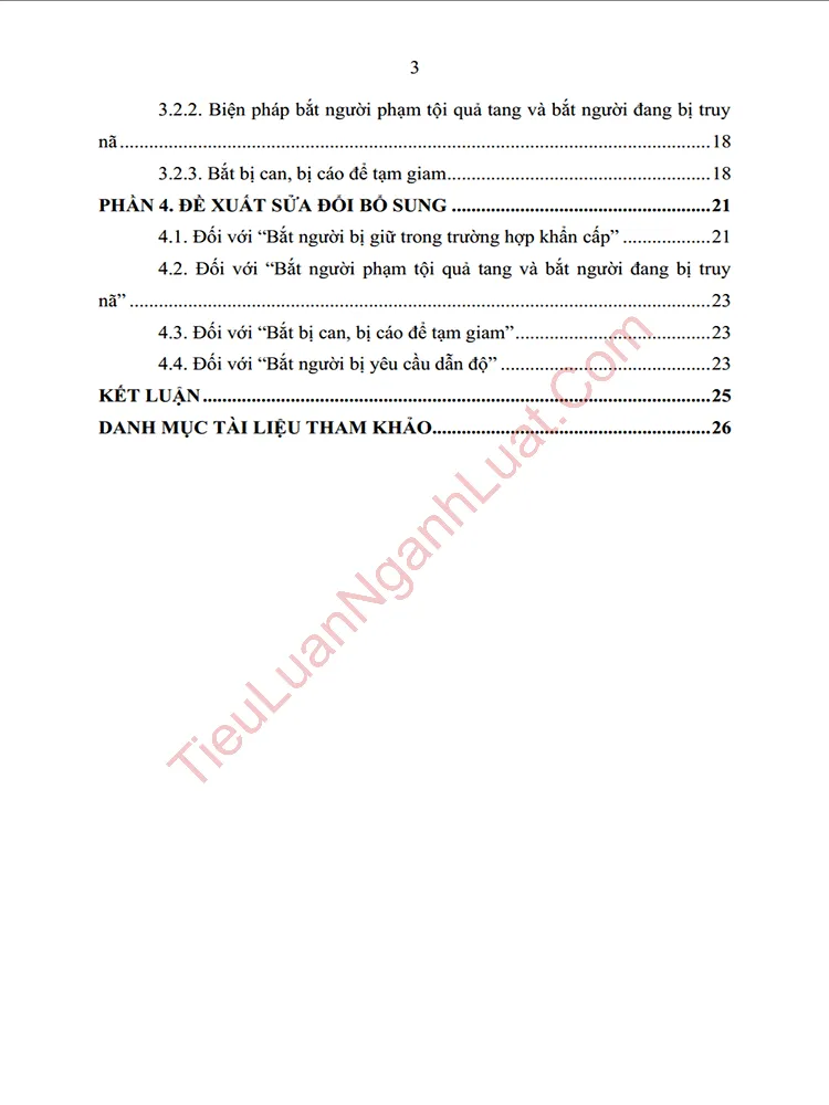 b0918 tieu luan bien phap ngan chan bat nguoi thuc trang va giai phap hoan thien anh muc luc 02