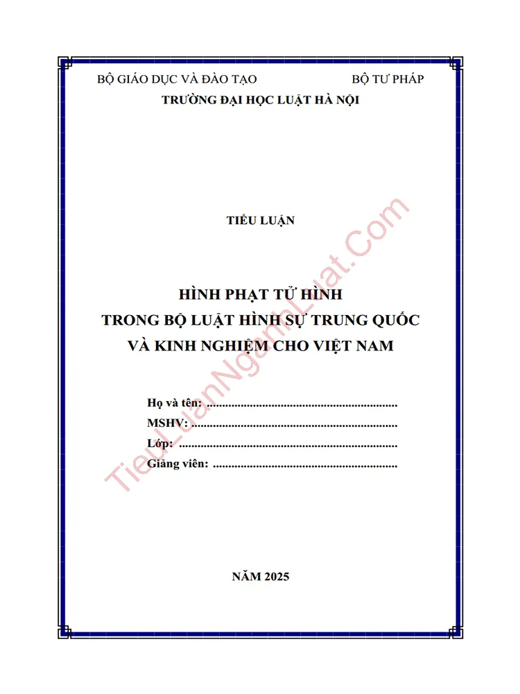 Tiểu luận: Hình phạt tử hình trong Bộ luật Hình sự Trung Quốc và kinh nghiệm cho Việt Nam