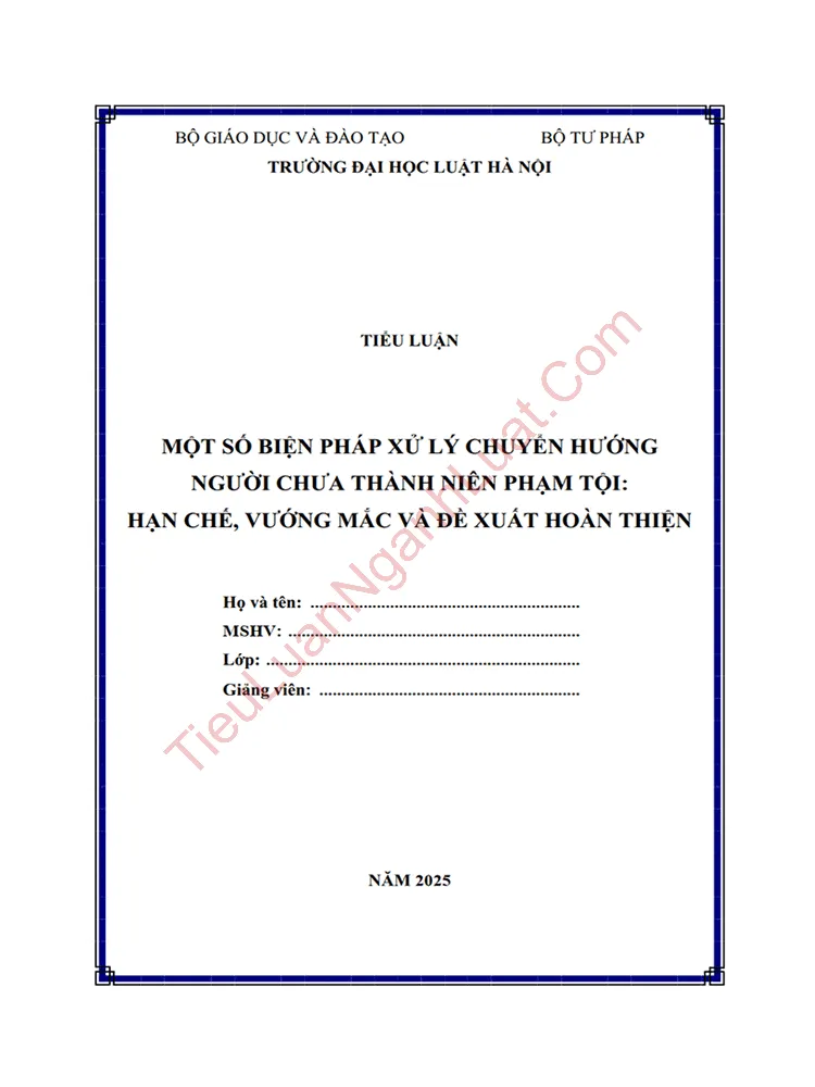 Tiểu luận: Một số biện pháp xử lý chuyển hướng người chưa thành niên phạm tội: Hạn chế, vướng mắc và đề xuất hoàn thiện