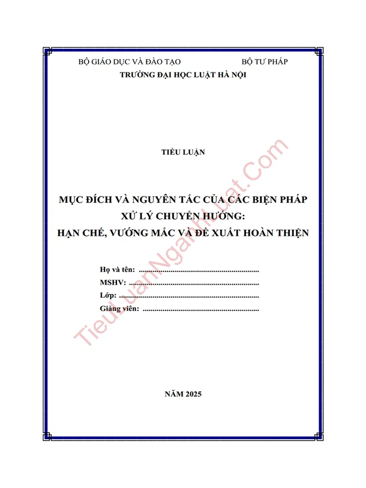 Tiểu luận: Mục đích và nguyên tắc của các biện pháp xử lý chuyển hướng: Hạn chế, vướng mắc và đề xuất hoàn thiện