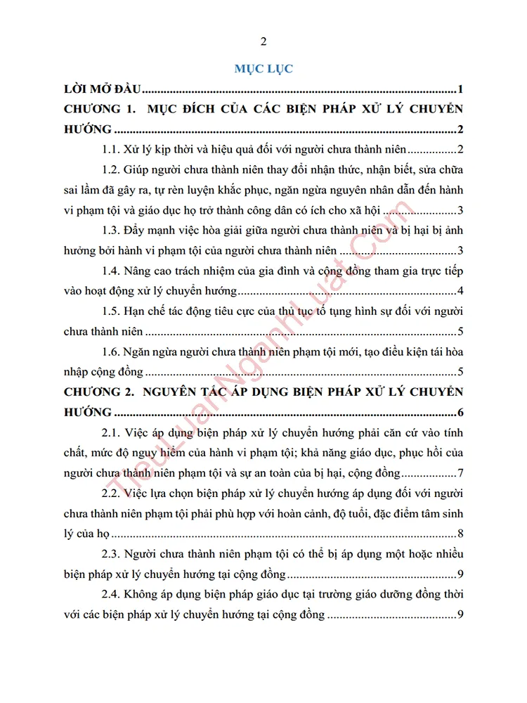 b1000 tieu luan muc dich va nguyen tac cua cac bien phap xu ly chuyen huong anh muc luc 01