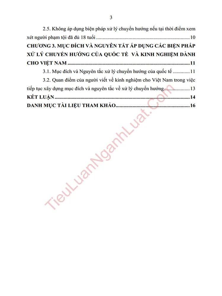 b1000 tieu luan muc dich va nguyen tac cua cac bien phap xu ly chuyen huong anh muc luc 02