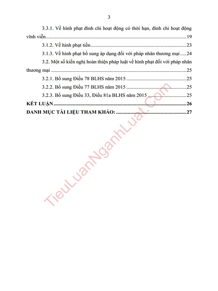 b1002 tieu luan hinh phat doi voi phap nhan thuong mai mot so van de ly luan va thuc tien anh muc luc 02