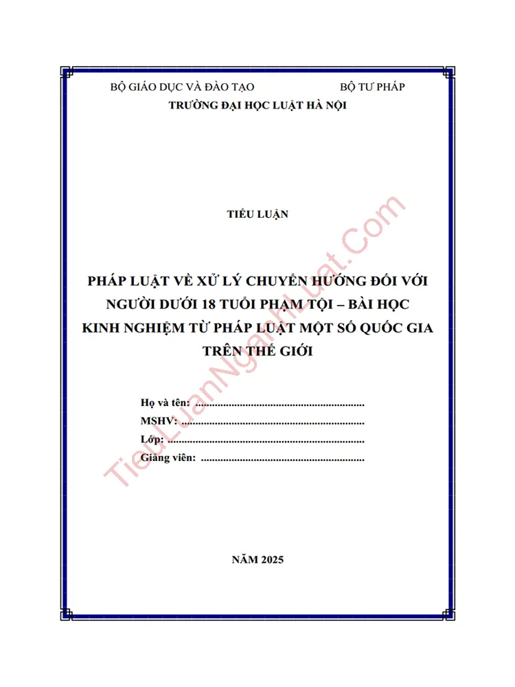 Tiểu luận: Pháp luật về xử lý chuyển hướng đối với người dưới 18 tuổi phạm tội – Bài học kinh nghiệm từ một số quốc gia trên thế giới