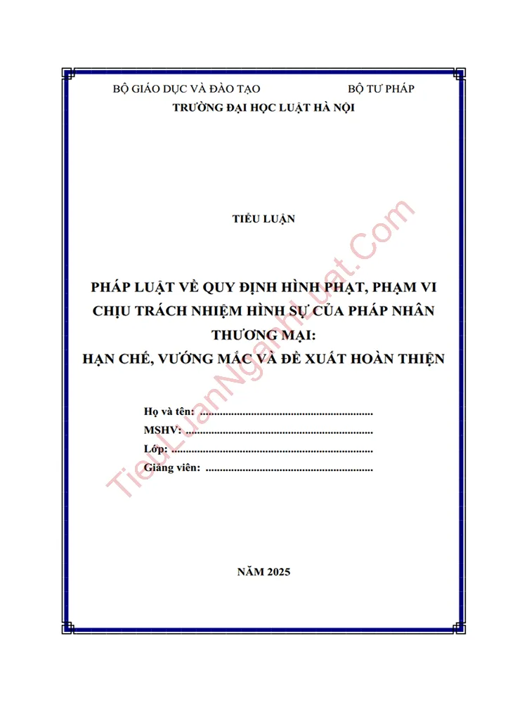 Tiểu luận: Pháp luật về quy định hình phạt, phạm vi chịu trách nhiệm hình sự của pháp nhân thương mại – Hạn chế, vướng mắc và đề xuất hoàn thiện