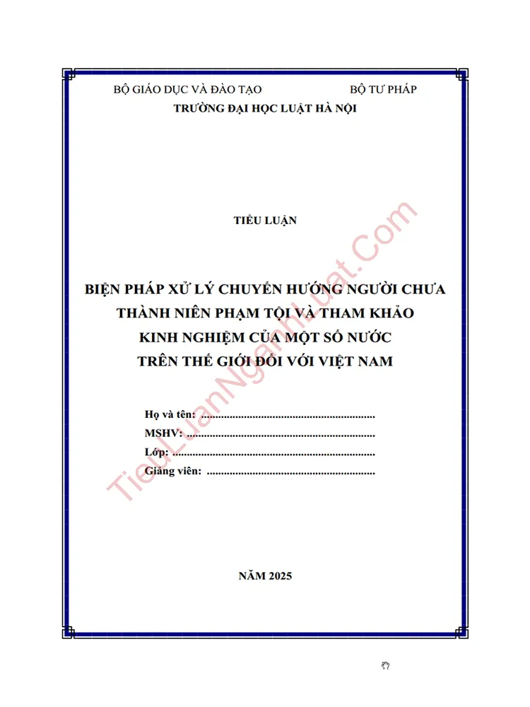 Tiểu luận: Biện pháp xử lý chuyển hướng người chưa thành niên phạm tội – Tham khảo kinh nghiệm của một số nước trên thế giới đối với Việt Nam