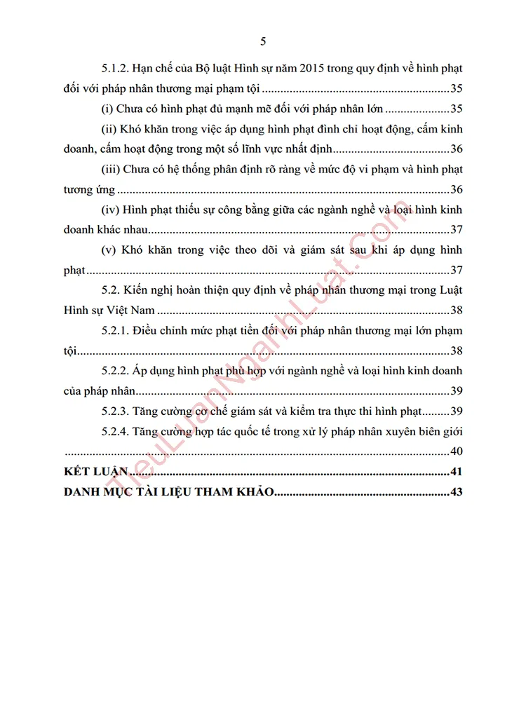 b1011 tieu luan hinh phat doi voi phap nhan thuong mai pham toi mot so kho khan vuong mac va kien nghi hoan thien anh muc luc 04