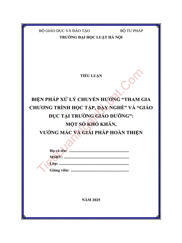 Tiểu luận: Biện pháp xử lý chuyển hướng “Tham gia chương trình học tập, dạy nghề” và “Giáo dục tại trường giáo dưỡng”: Một số khó khăn, vướng mắc và giải pháp hoàn thiện