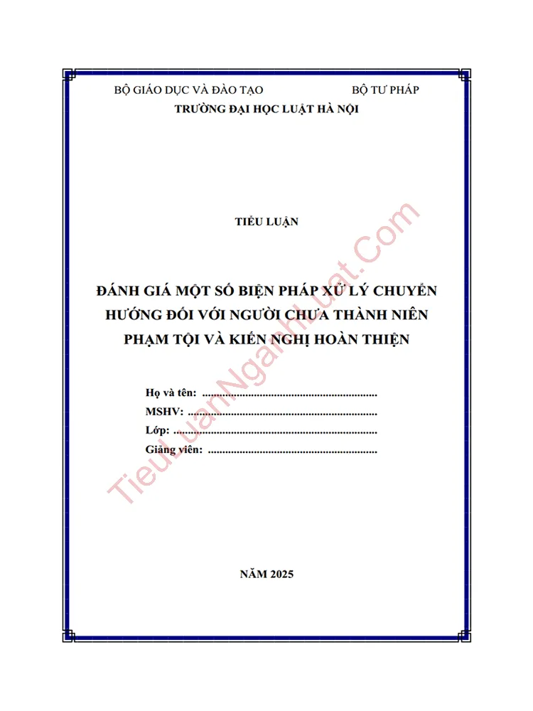 Tiểu luận: Đánh giá một số biện pháp xử lý chuyển hướng đối với người chưa thành niên và kiến nghị hoàn thiện