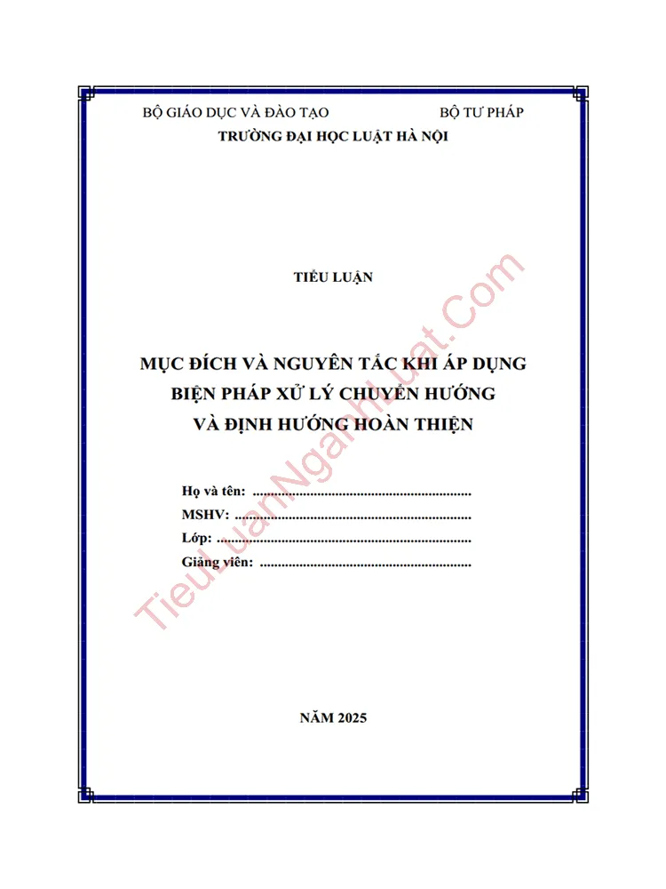 Tiểu luận: Mục đích và nguyên tắc khi áp dụng biện pháp xử lý chuyển hướng và định hướng hoàn thiện
