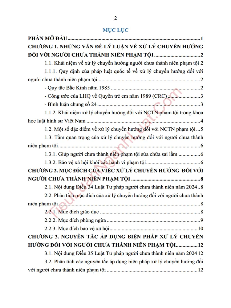 b1017 tieu luan muc dich va nguyen tac khi ap dung bien phap xu ly chuyen huong va dinh huong hoan thien anh muc luc 01
