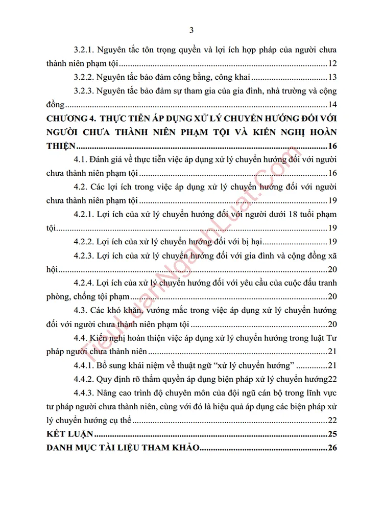 b1017 tieu luan muc dich va nguyen tac khi ap dung bien phap xu ly chuyen huong va dinh huong hoan thien anh muc luc 02