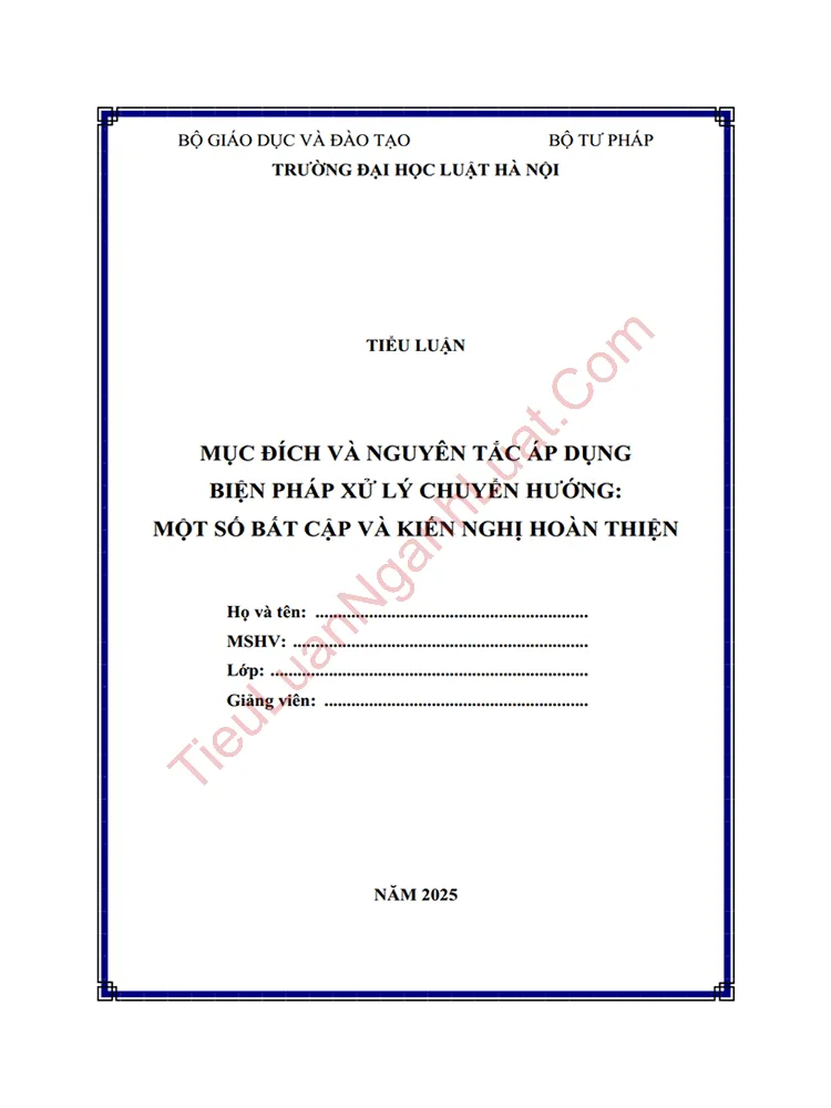 Tiểu luận: Mục đích và nguyên tắc áp dụng biện pháp xử lý chuyển hướng – Một số bất cập và kiến nghị hoàn thiện
