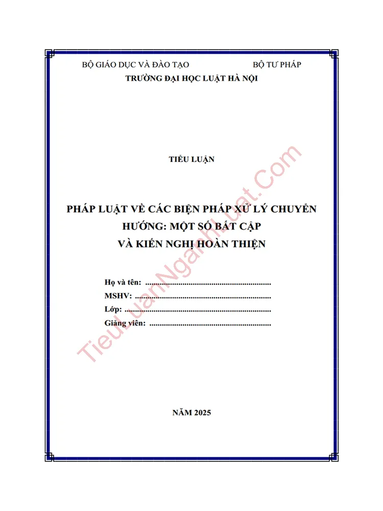 Tiểu luận: Pháp luật về các biện pháp xử lý chuyển hướng – Một số bất cập và kiến nghị hoàn thiện