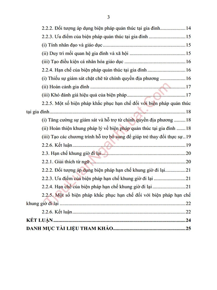 b1022 tieu luan phap luat ve bien phap xu ly chuyen huong mot so bat cap va kien nghi hoan thien anh muc luc 02