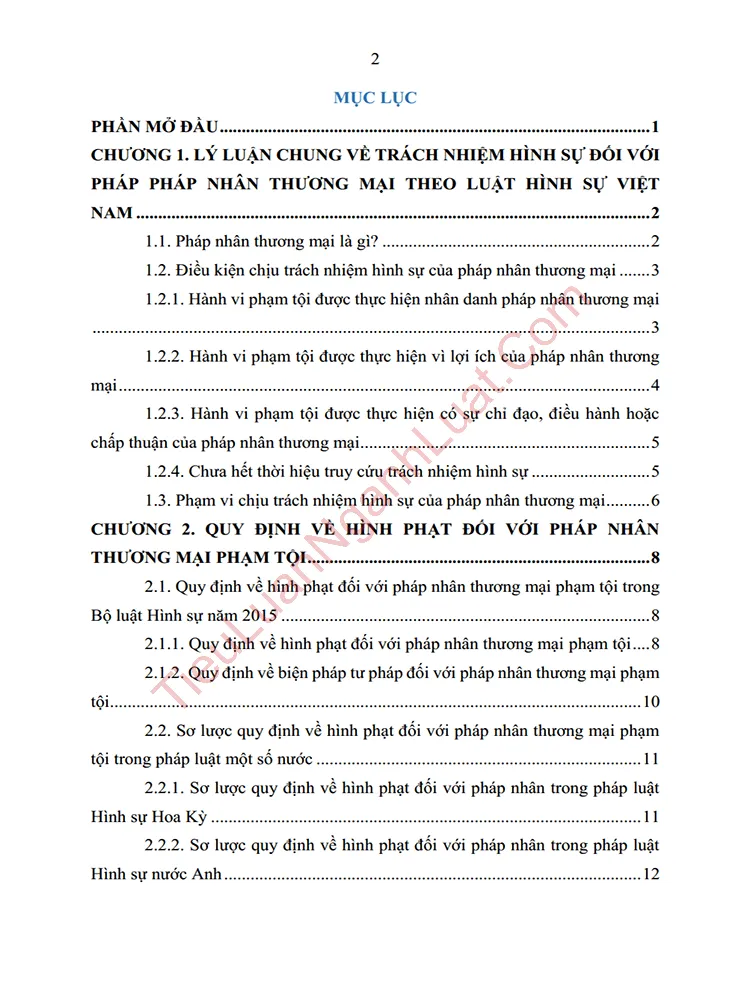 b1028 tieu luan uu diem va han che cua quy dinh ve hinh phat doi voi phap nhan thuong mai pham toi anh muc luc 01