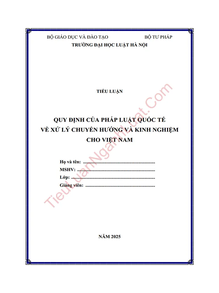 Tiểu luận: Quy định của pháp luật quốc tế về xử lý chuyển hướng và kinh nghiệm cho Việt Nam
