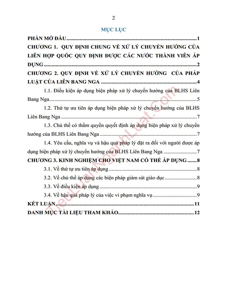 b1030 tieu luan quy dinh cua phap luat quoc te ve xu ly chuyen huong va kinh nghiem cho viet nam anh muc luc 01