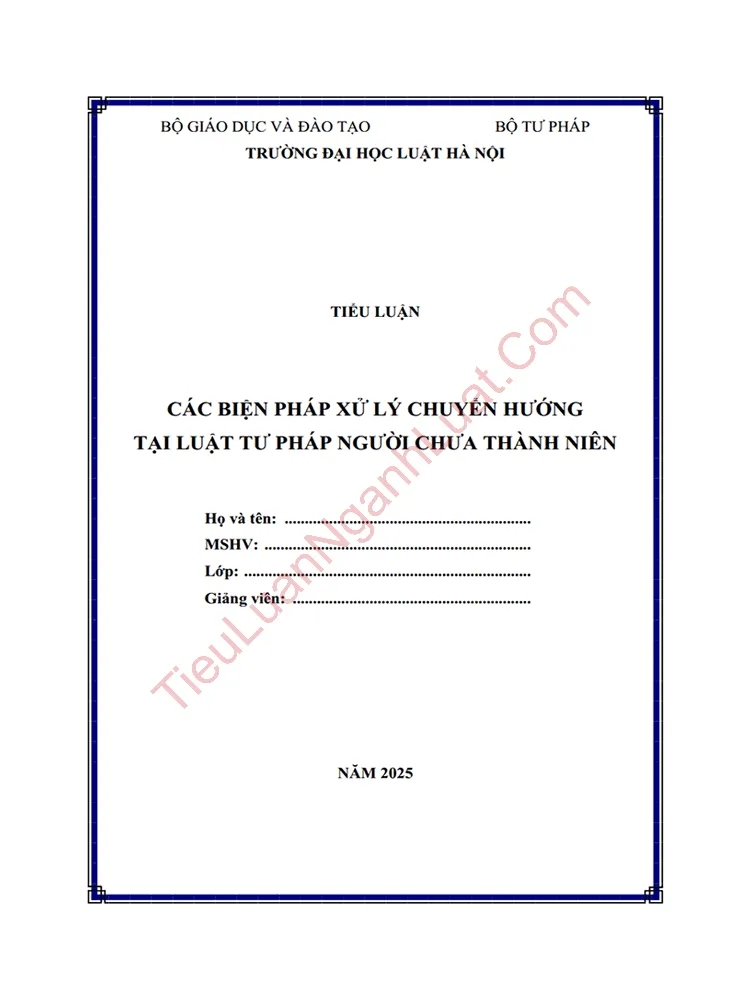 Tiểu luận: Các biện pháp xử lý chuyển hướng tại Luật Tư pháp người chưa thành niên