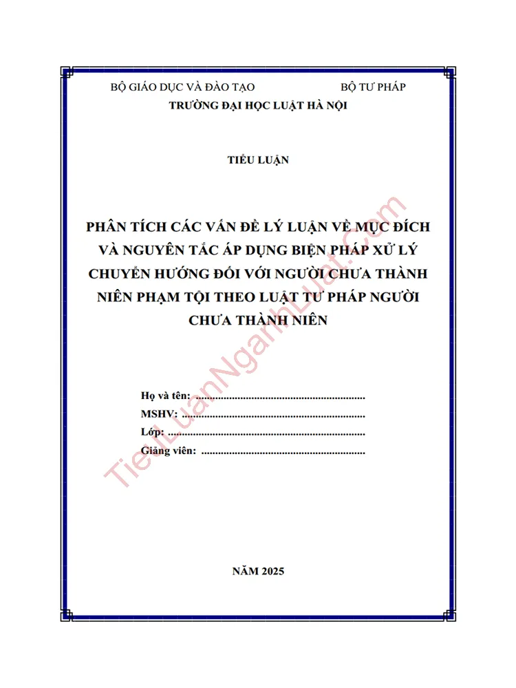 Tiểu luận: Phân tích các vấn đề lý luận về mục đích và nguyên tắc áp dụng biện pháp xử lý chuyển hướng đối với người chưa thành niên phạm tội theo Luật Tư pháp người chưa thành niên