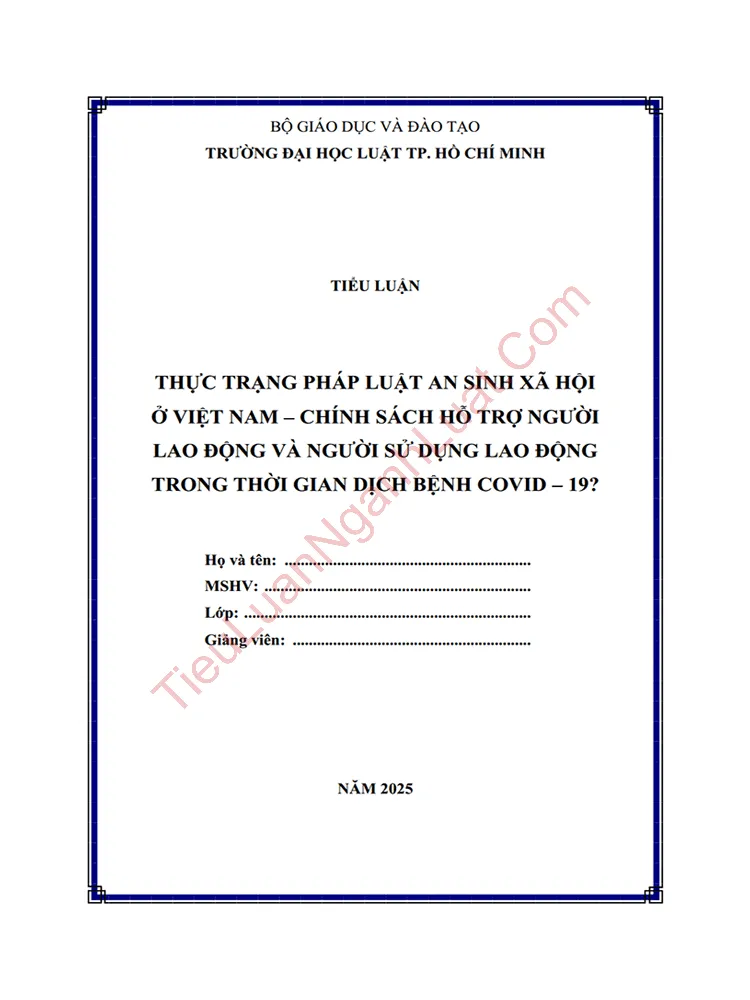 Tiểu luận: Thực trạng pháp luật an sinh xã hội ở Việt Nam: Chính sách hỗ trợ người lao động và người sử dụng lao động trong thời gian dịch bệnh Covid-19