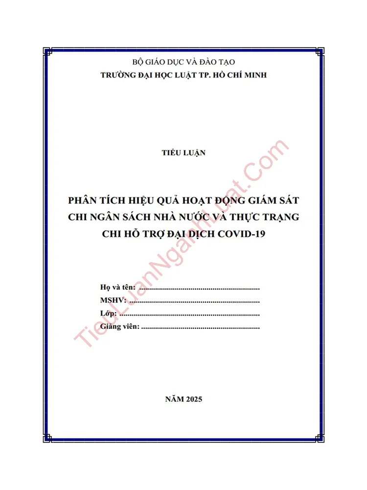 Tiểu luận: Phân tích hiệu quả hoạt động giám sát chi Ngân sách nhà nước và thực trạng chi hỗ trợ đại dịch Covid-19