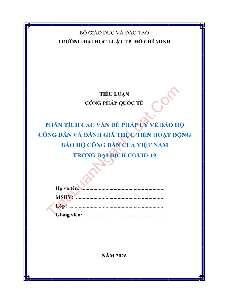 Tiểu luận: Phân tích các vấn đề pháp lý về bảo hộ công dân và đánh giá thực tiễn hoạt động bảo hộ công dân của Việt Nam trong đại dịch Covid-19