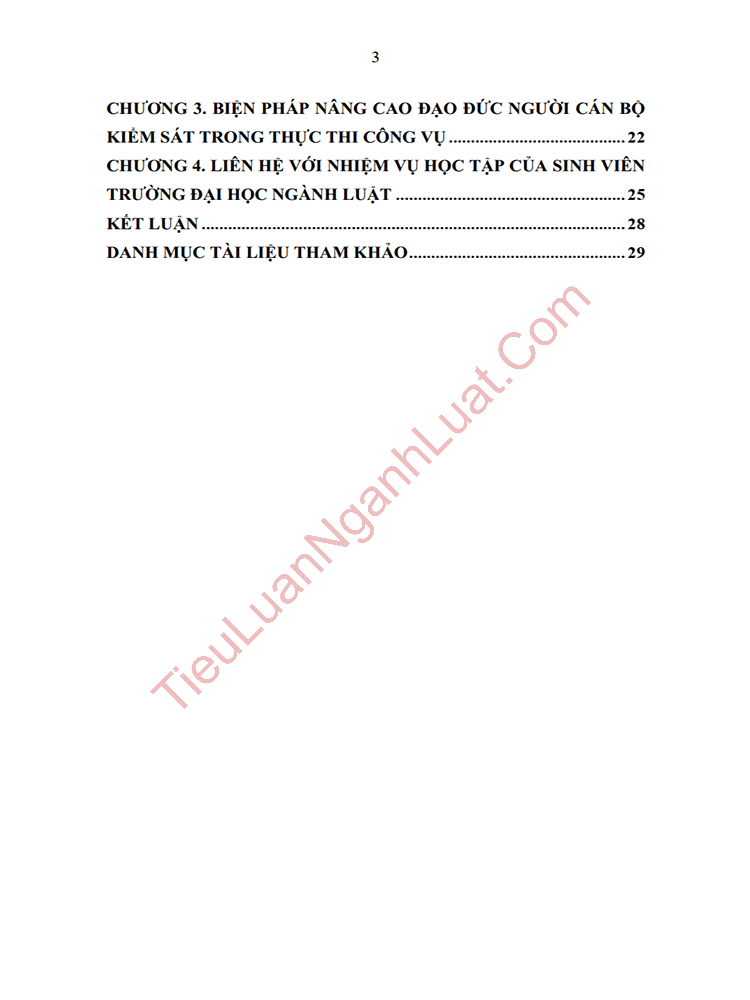 b1101 nguoi can bo kiem sat can thuc hien nhung chuan muc dao duc nghe nghiep va quy tac ung xu nhu the nao anh muc luc 02