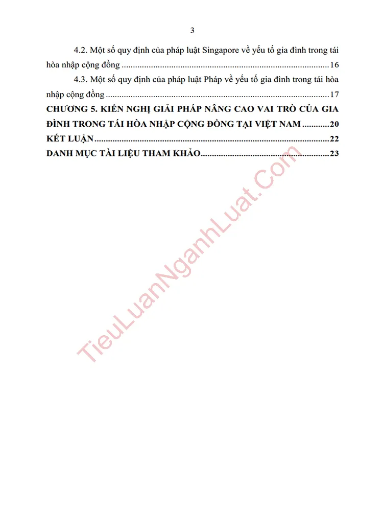 b0953 tieu luan vai tro cua gia dinh trong tai hoa nhap cong dong mot so kho khan vuong mac va giai phap hoan thien anh muc luc 02
