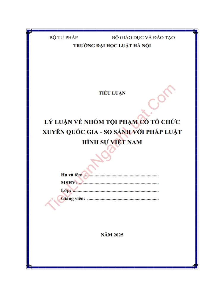 Tiểu luận: Lý luận về nhóm tội phạm có tổ chức xuyên quốc gia và so sánh với pháp luật hình sự Việt Nam
