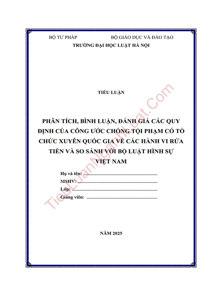 Tiểu luận: Phân tích, bình luận, đánh giá các quy định của Công ước chống tội phạm có tổ chức xuyên quốc gia về các hành vi rửa tiền, so sánh với Bộ luật Hình sự Việt Nam