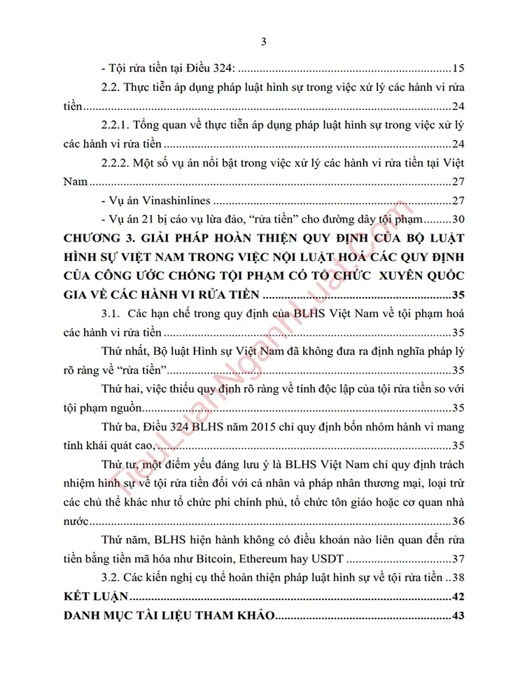 b0955 tieu luan cong uoc chong toi pham co to chuc xuyen quoc gia ve hanh vi rua tien va so sanh voi viet nam anh muc luc 02