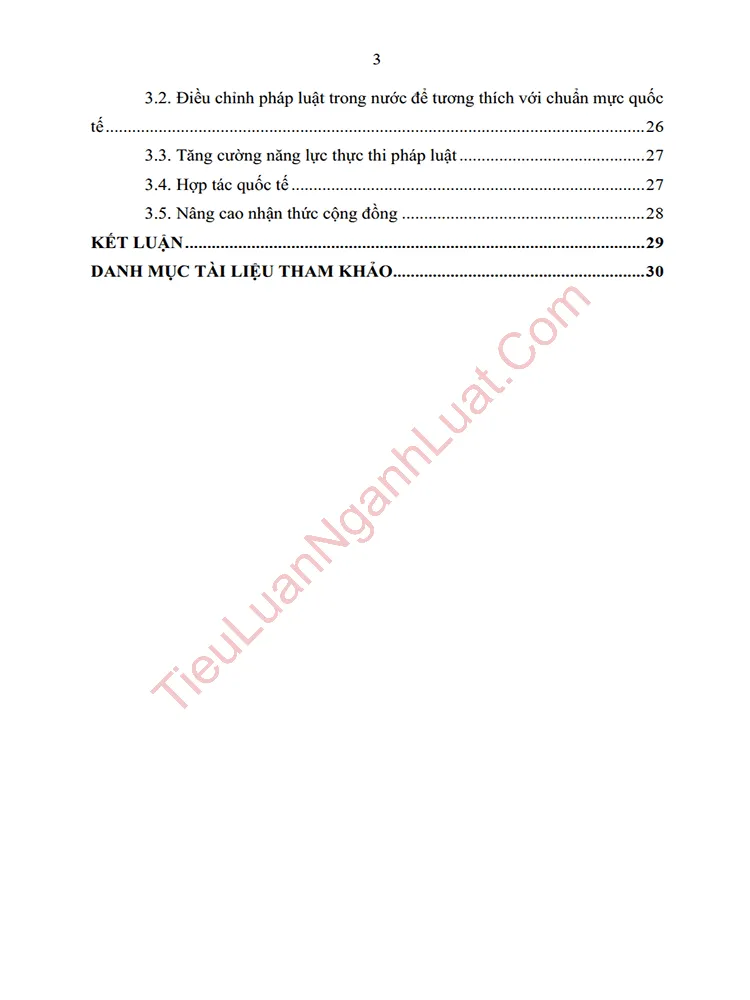 b0956 tieu luan phan tich quy dinh cua phap luat quoc te ve toi pham mang anh muc luc 02