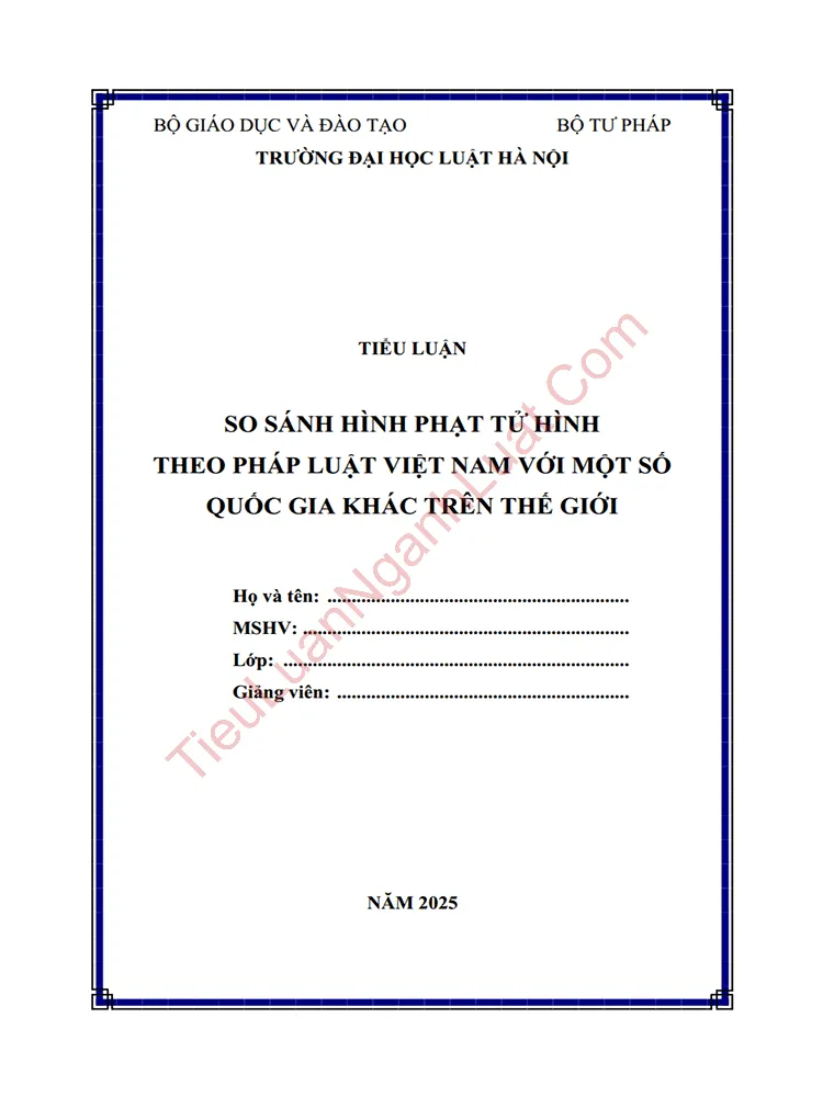 Tiểu luận: So sánh hình phạt tử hình theo pháp luật Việt Nam với một số quốc gia khác trên thế giới